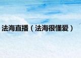 法海直播（法海很懂爱）