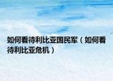 如何看待利比亚国民军（如何看待利比亚危机）