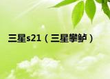 三星s21（三星攀鲈）