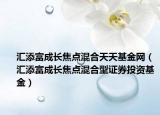 汇添富成长焦点混合天天基金网（汇添富成长焦点混合型证券投资基金）