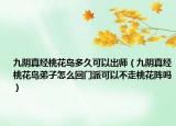 九阴真经桃花岛多久可以出师（九阴真经桃花岛弟子怎么回门派可以不走桃花阵吗）