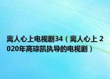 离人心上电视剧34（离人心上 2020年高琮凯执导的电视剧）