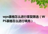 wps表格怎么进行重复筛选（WPS表格怎么进行填充）