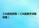 三头肌如何练（三头肌新手训练攻略）