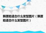 鹅蛋脸适合什么发型图片（鹅蛋脸适合什么发型图片）