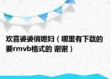欢喜婆婆俏媳妇（哪里有下载的 要rmvb格式的 谢谢）