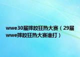 wwe30届摔跤狂热大赛（29届wwe摔跤狂热大赛谁打）