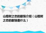 山楂树之恋的剧情介绍（山楂树之恋的剧情是什么）