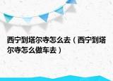 西宁到塔尔寺怎么去（西宁到塔尔寺怎么做车去）