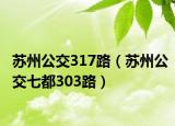 苏州公交317路（苏州公交七都303路）