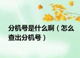 分机号是什么啊（怎么查出分机号）