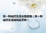 另一种灿烂生活分集剧情（另一种灿烂生活结局是怎样）