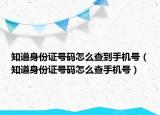 知道身份证号码怎么查到手机号（知道身份证号码怎么查手机号）