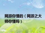 网游你懂的（网游之大师你懂吗）