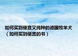 如何买到便宜又纯种的德国牧羊犬（如何买到便宜的书）