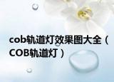 cob轨道灯效果图大全（COB轨道灯）