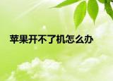 苹果开不了机怎么办
