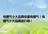 电暖气十大品牌佳星电暖气（电暖气十大品牌排行榜）