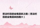 普法栏目剧全集回家之路（普法栏目剧全集回家的路六）