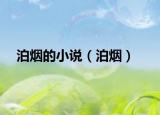 泊烟的小说（泊烟）