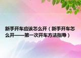 新手开车应该怎么开（新手开车怎么开——第一次开车方法指导）