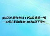 p站怎么看作者id（P站攻略第一弹—如何在已知作者id的情况下搜索）