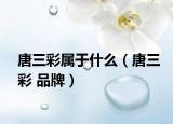 唐三彩属于什么（唐三彩 品牌）