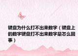 键盘为什么打不出来数字（键盘上的数字键盘打不出来数字是怎么回事）