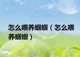 怎么喂养蝈蝈（怎么喂养蝈蝈）