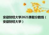 安徽财经大学2021录取分数线（安徽财经大学）