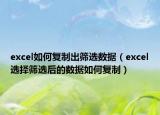 excel如何复制出筛选数据（excel选择筛选后的数据如何复制）