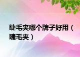 睫毛夹哪个牌子好用（睫毛夹）