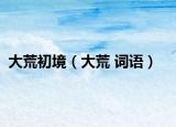 大荒初境（大荒 词语）