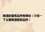酿酒的葡萄品种有哪些（介绍一下主要酿酒葡萄品种）