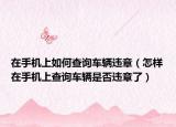 在手机上如何查询车辆违章（怎样在手机上查询车辆是否违章了）