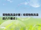 宠物狗洗澡步骤（给宠物狗洗澡的六个要点）