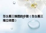 怎么看三维图的步骤（怎么看三维立体图）