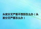 头发分叉严重不想剪怎么办（头发分叉严重怎么办）
