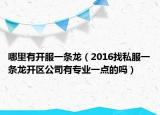 哪里有开服一条龙（2016找私服一条龙开区公司有专业一点的吗）