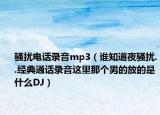 骚扰电话录音mp3（谁知道夜骚扰..经典通话录音这里那个男的放的是什么DJ）