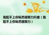 我配不上你纵然很努力抖音（我配不上你纵然很努力）