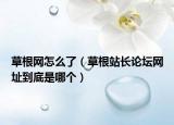 草根网怎么了（草根站长论坛网址到底是哪个）