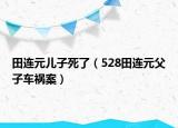 田连元儿子死了（528田连元父子车祸案）