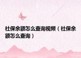 社保余额怎么查询视频（社保余额怎么查询）