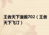 王者天下漫画702（王者天下飞汀）