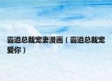 霸道总裁宠妻漫画（霸道总裁宠爱你）