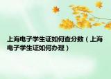 上海电子学生证如何查分数（上海电子学生证如何办理）