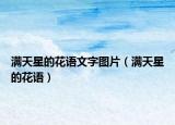 满天星的花语文字图片（满天星的花语）