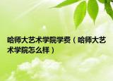 哈师大艺术学院学费（哈师大艺术学院怎么样）