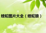 蝰蛇图片大全（蝰蛇狼）
